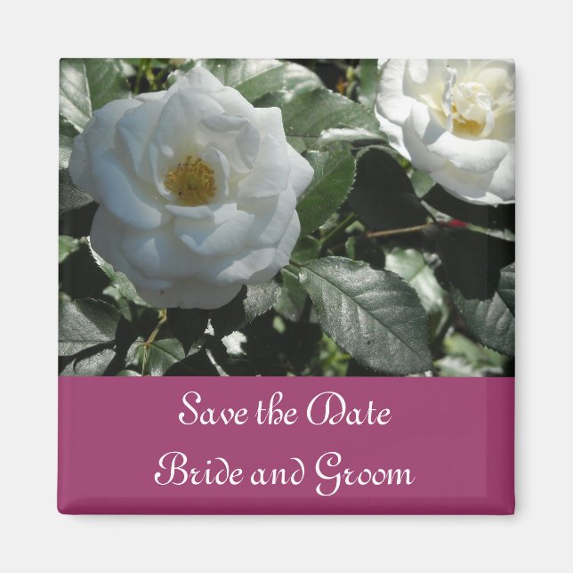 Elegant White Rose Save the Date Magnet (Front)