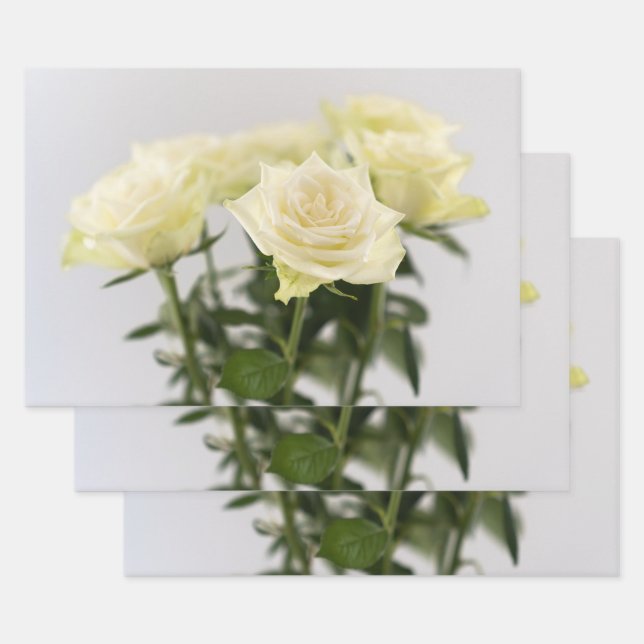 Elegant White Roses Timeless Flower Photograph Wrapping Paper Sheet (Set)