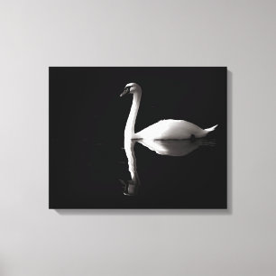 Elegant White Swan Reflection On Black Lake Canvas Print