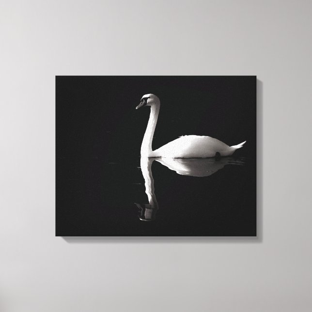 Elegant White Swan Reflection On Black Lake Canvas Print (Front)