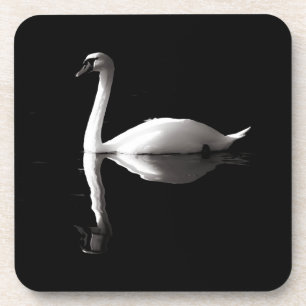 Elegant White Swan Reflection On Black Lake Coaster