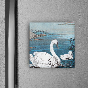 Elegant White Swan With Baby Magnet