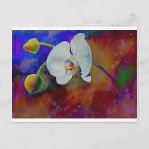 Elegant white watercolor floral orchid painting postcard