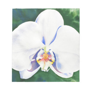 Elegant white watercolor orchid notepad
