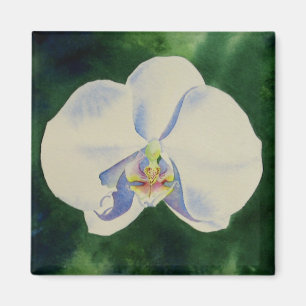 Elegant white watercolor orchid painting magnet