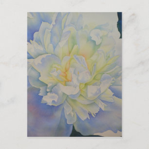 Elegant white yellow peony floral watercolor postcard