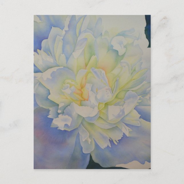 Elegant white yellow peony floral watercolor  postcard (Front)