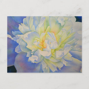 Elegant white yellow peony floral watercolor postcard