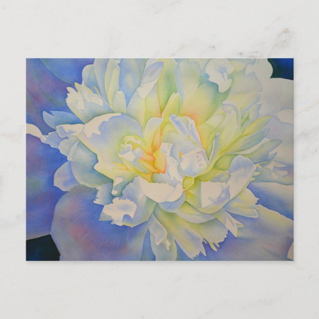 Elegant white yellow peony floral watercolor  postcard (Front)