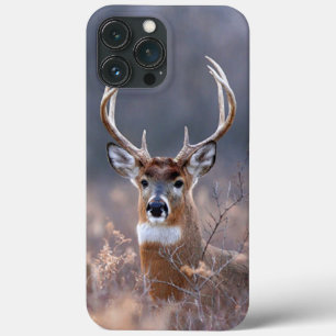 Elegant Whitetail Deer Autumn Or Winter Season iPhone 13 Pro Max Case