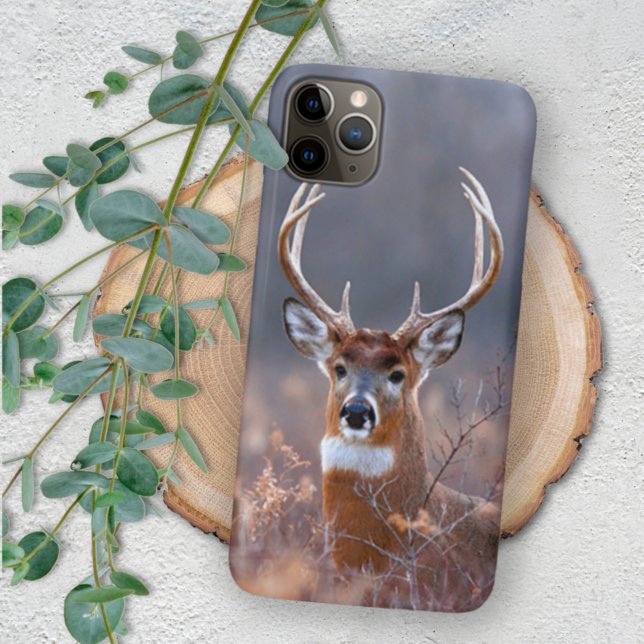 Elegant Whitetail Deer Winter Season Photograph Case-Mate iPhone Case (Creator Uploaded)