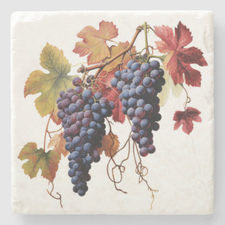 Elegant Wine Grapes Marble Coaster