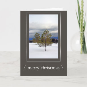 Elegant Winter Scene Merry Christmas Card