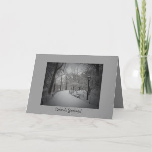 Elegant Winter Season's Greetings - Central Park Holiday Card
