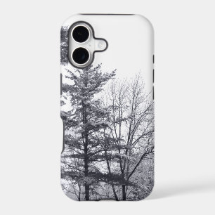 Elegant Winter Trees Photograph