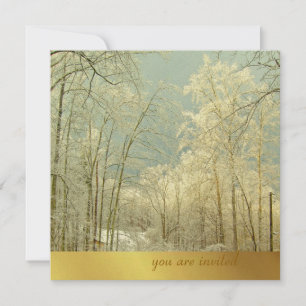 Elegant Winter Wonderland, christmas invitations