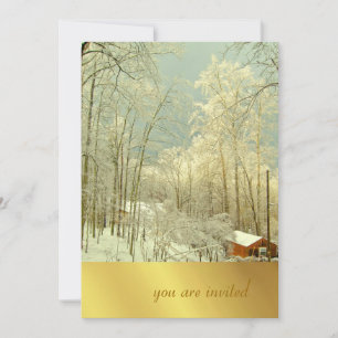 Elegant Winter Wonderland, christmas invitations