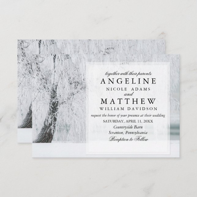 Elegant Winter Wonderland Snow snowflakes wedding Invitation (Front/Back)
