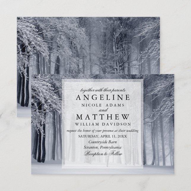 Elegant Winter Wonderland Snow snowflakes wedding Invitation (Front/Back)