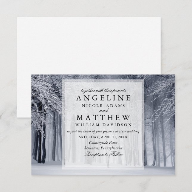 Elegant Winter Wonderland Snow snowflakes wedding Invitation (Front/Back)