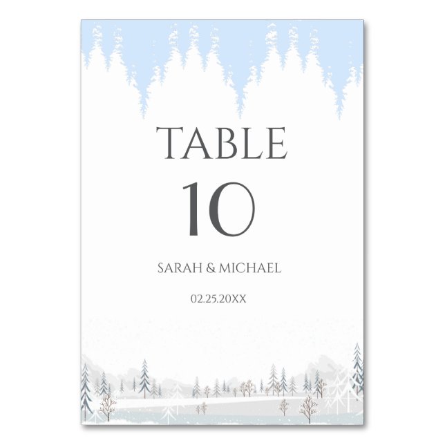  Elegant Winter Wonderland  Snowflakes Table Number (Front)