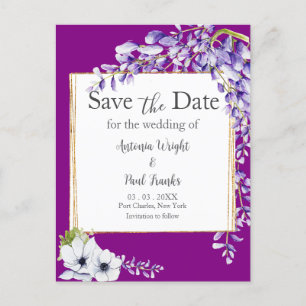 Elegant Wisteria Postcard