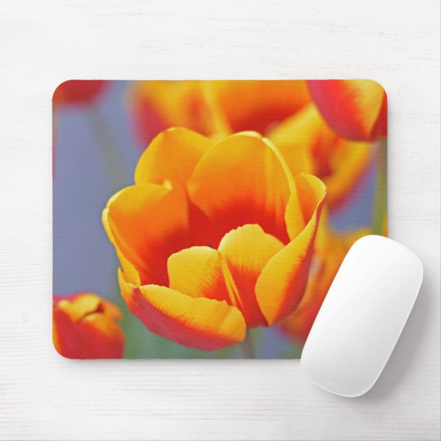 Elegant Yellow and Red Tulip Mouse Mat (With Mouse)