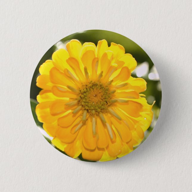 Elegant yellow floral flower daisy 6 cm round badge (Front)