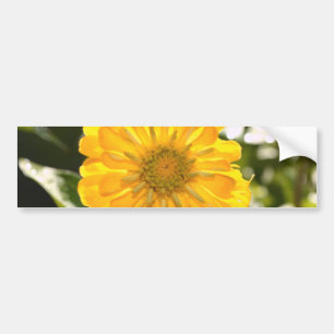 Elegant yellow floral flower daisy bumper sticker