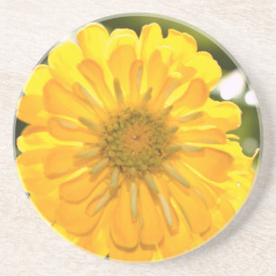 Elegant yellow floral flower daisy coaster