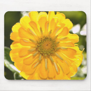 Elegant yellow floral flower daisy mouse mat