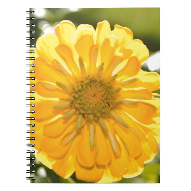 Elegant yellow floral flower daisy notebook (Front)