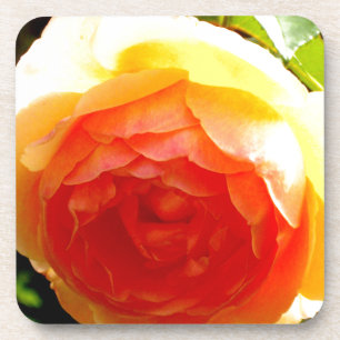 Elegant yellow peach red apricot floral rose coaster