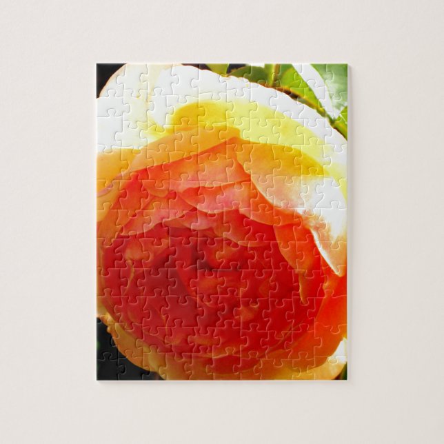 Elegant yellow peach red apricot floral rose jigsaw puzzle (Vertical)