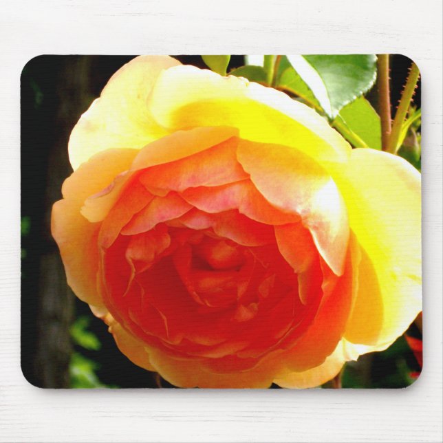 Elegant yellow peach red apricot floral rose mouse mat (Front)