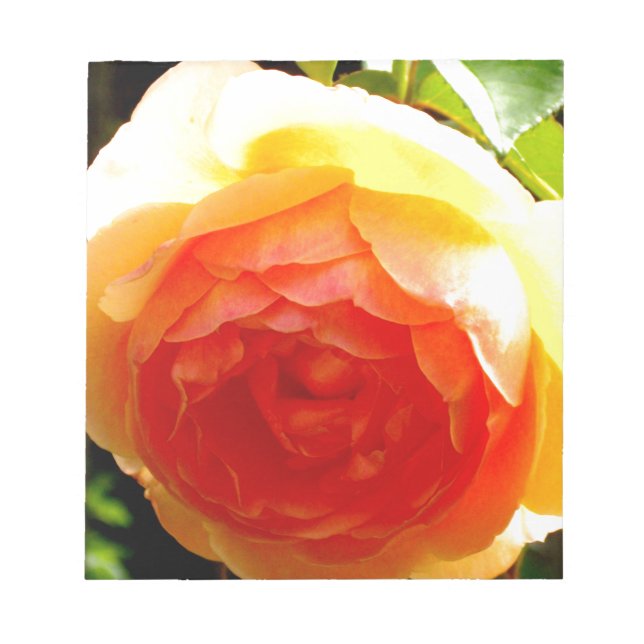 Elegant yellow peach red apricot floral rose notepad (Front)