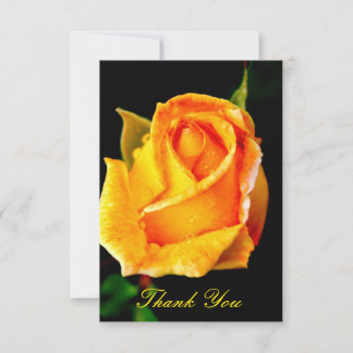Elegant Yellow Rose Thank You Card