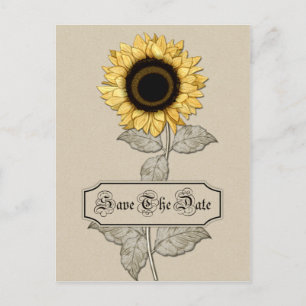 Elegant Yellow Sunflower Tan Background  Save The Announcement Postcard