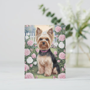 Elegant Yorkshire Terrier Rose Garden Painting Postcard
