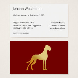 Elegante silhouet van een Deense dog