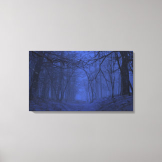 Elegy (Winter/Night) Canvas Print