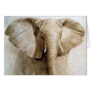 Elephant 2004