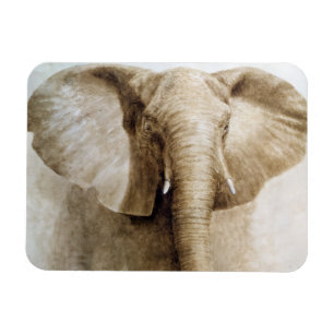 Elephant 2004 magnet