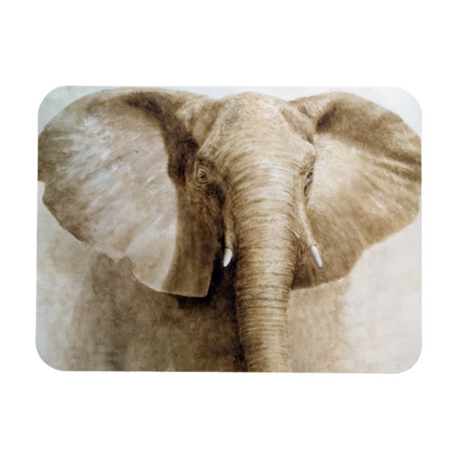 Elephant 2004 magnet (Horizontal)