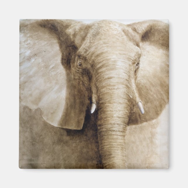 Elephant 2004 magnet (Front)