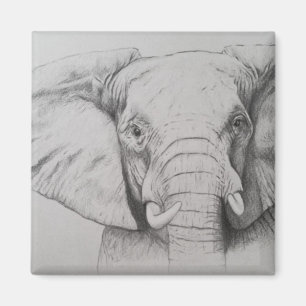 Elephant 2011 magnet