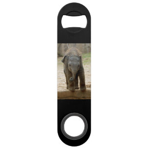 Elephant_20171101_by_JAMFoto