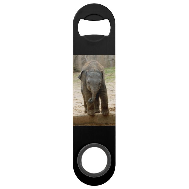 Elephant_20171101_by_JAMFoto (Front)
