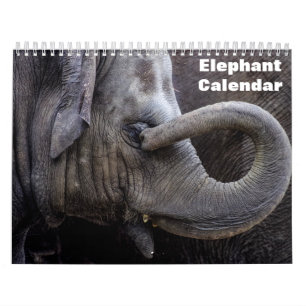 Elephant 2026 calendar