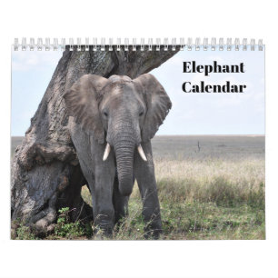 Elephant 2026 calendar